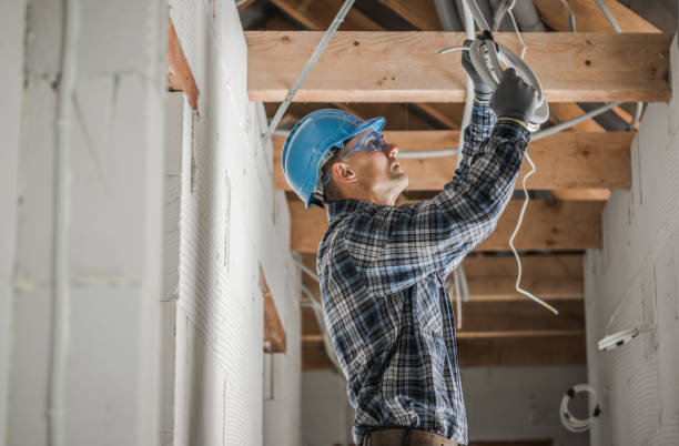 Best Ceiling Fan Installation Electrician  in Vandercook Lake, MI